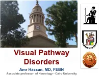 VISUAL FIELD Pathway Extends from the „Front‟ to the „Back‟ of the RETINA Brain