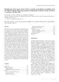 Identification of the Species of the Cheilosia Variabilis Group