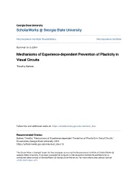 Mechanisms of Experience-Dependent Prevention of Plasticity in Visual Circuits