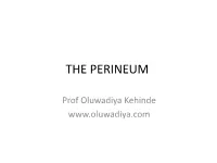 5 the PERINEUM Diya.Pdf