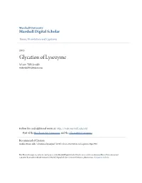 Glycation of Lysozyme Wisam Talib Joudah Wtikwtik1985@Yahoo.Com