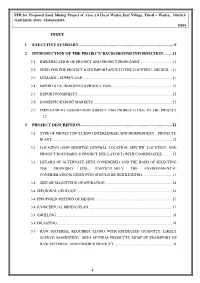 Index 1 Executive Summary
