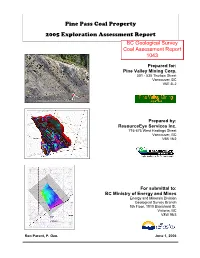 Pine Pass Coal Property 2005 Exploration Assessment Report