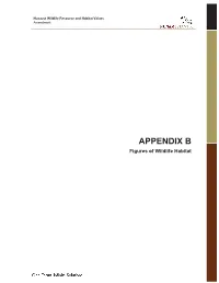 JWA Single-Sided Report Template
