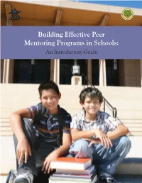 Peer Mentoring Programs