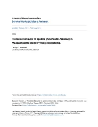 Predation Behavior of Spiders (Arachnida: Araneae) in Massachusetts Cranberry Bog Ecosystems