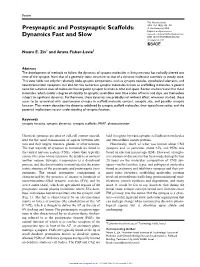 Presynaptic and Postsynaptic Scaffolds