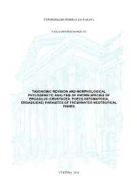 Taxonomic Revision and Morphological