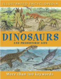 Illustratedencycloped Iadinosaursandprehist