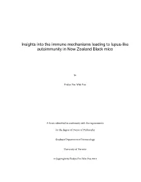 Insights Into the Immune Mechanisms Leading to Lupus-Like Autoimmunity in New Zealand Black Mice