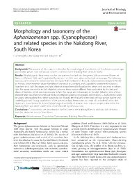 Morphology and Taxonomy of the Aphanizomenon Spp