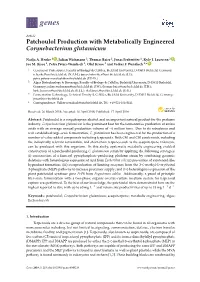 Patchoulol Production with Metabolically Engineered Corynebacterium Glutamicum