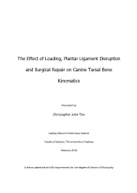 The Effect of Loading, Plantar Ligament Disruption and Surgical
