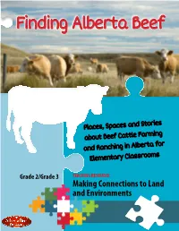 Finding Alberta Beef