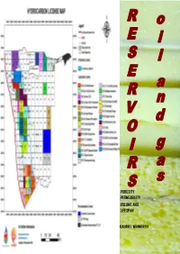 Porosity Permeability Volume and Lifespan Gabriel Wimmerth