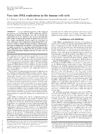 Very Late DNA Replication in the Human Cell Cycle