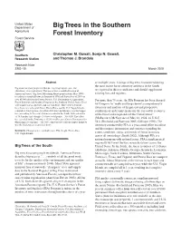 Big Trees in the Southern Forest Inventory
