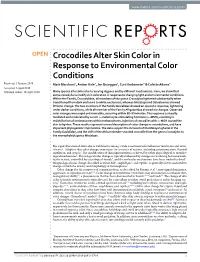 Crocodiles Alter Skin Color in Response to Environmental Color Conditions