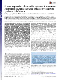 Sphingolipids