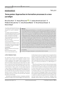 Terras Pretas: Approaches to Formation Processes in a New Paradigm