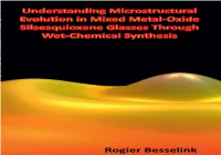 Understanding Microstructural Evolution in Mixed Metal-Oxide