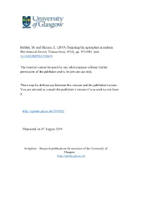 Biddau, M. and Sheiner, L. (2019) Targeting the Apicoplast in Malaria. Biochemical Society Transactions, 47(4), Pp. 973-983. (Doi: 10.1042/BST20170563)