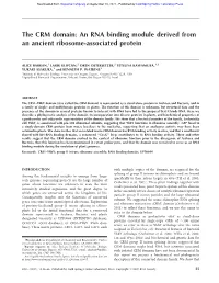 The CRM Domain: an RNA Binding Module Derived from an Ancient Ribosome-Associated Protein