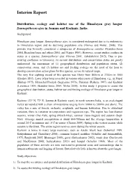 Interim Report