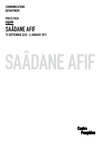 Saâdane Afif, Winner of the 2009 Marcel Duchamp Prize at The
