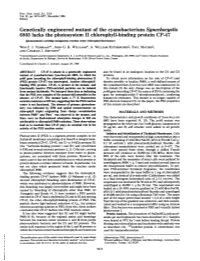 Genetically Engineered Mutant of the Cyanobacterium Synechocystis