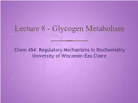 Lecture 8 - Glycogen Metabolism