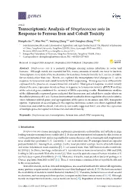 Transcriptomic Analysis of Streptococcus Suis in Response to Ferrous Iron and Cobalt Toxicity