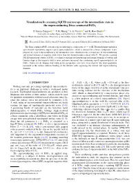 Visualization by Scanning SQUID Microscopy of the Intermediate State in the Superconducting Dirac Semimetal Pdte2