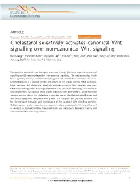 Cholesterol Selectively Activates Canonical Wnt Signalling Over Non-Canonical Wnt Signalling