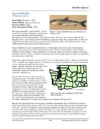 Pygmy Whitefish Fact Sheet