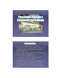 Pyroclastic Deposits I: Pyroclastic Fall Deposits