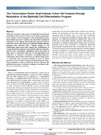 The Transcription Factor Snail Induces Tumor Cell Invasion Through Modulation of the Epithelial Cell Differentiation Program