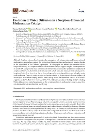 Evolution of Water Diffusion in a Sorption-Enhanced Methanation Catalyst