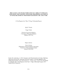 Prevalence and Characterization Of