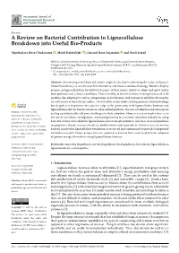 A Review on Bacterial Contribution to Lignocellulose Breakdown Into Useful Bio-Products