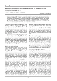 Brooding Behaviour and Nestling Growth of the Lyre-Tailed Nightjar Uropsalis Lyra Harold F