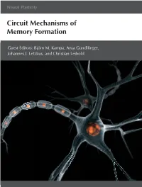 Circuit Mechanisms of Memory Formation