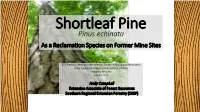 Pinus Echinata
