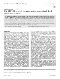 The STING1 Network Regulates Autophagy and Cell Death