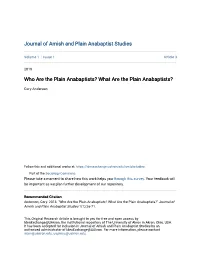 What Are the Plain Anabaptists?