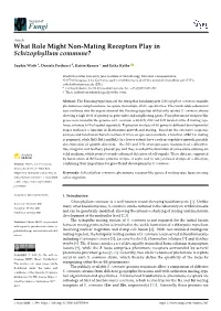 What Role Might Non-Mating Receptors Play in Schizophyllum Commune?