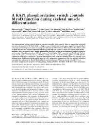 A KAP1 Phosphorylation Switch Controls Myod Function During Skeletal Muscle Differentiation