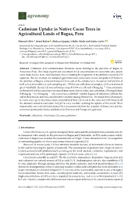Cadmium Uptake in Native Cacao Trees in Agricultural Lands of Bagua, Peru