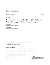 Characterization of Oxidized Zinc (Calamine) Ores by Scanning Electron Microscopy and Electron Microprobe Analysis