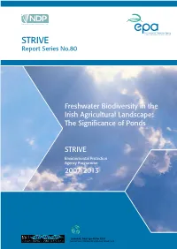 STRIVE Report Series No.80